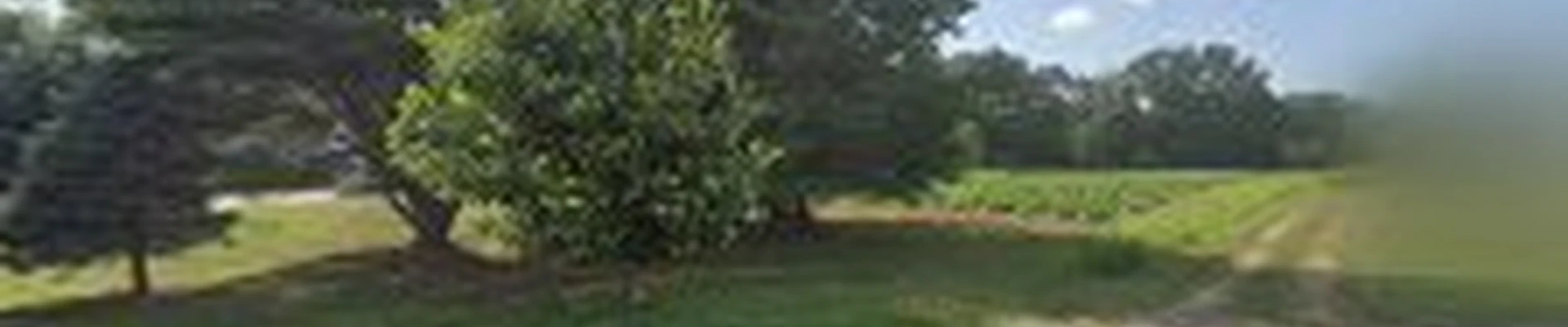 Veader's Landscaping