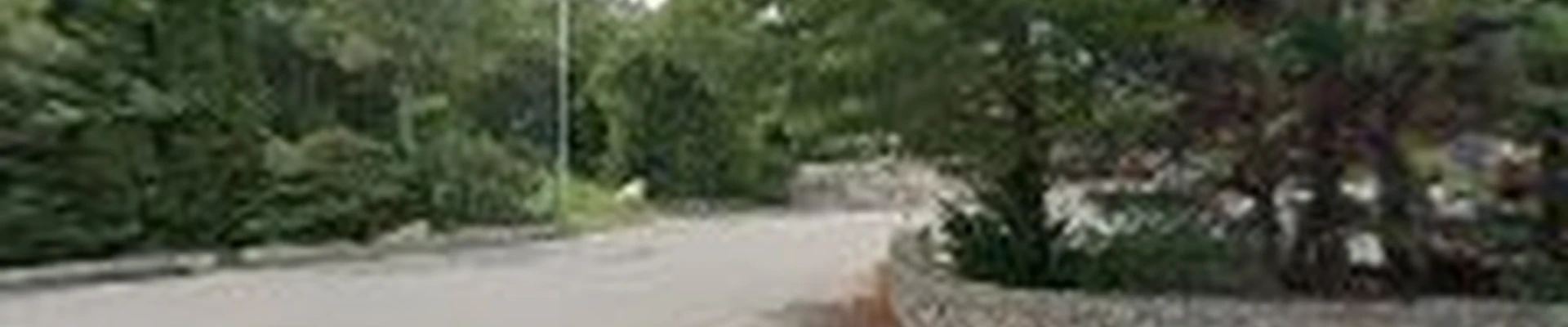Reis Asphalt And Landscaping