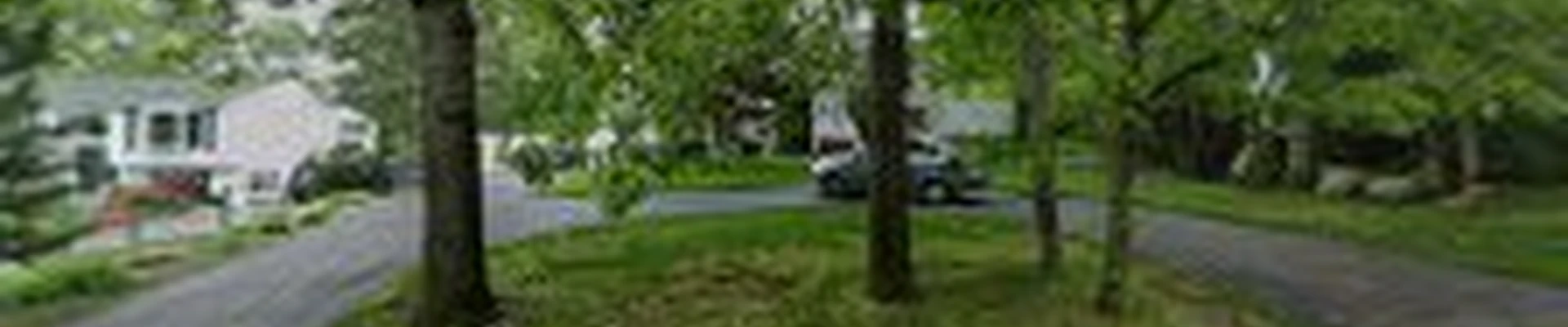 Morales and Sons Landscaping
