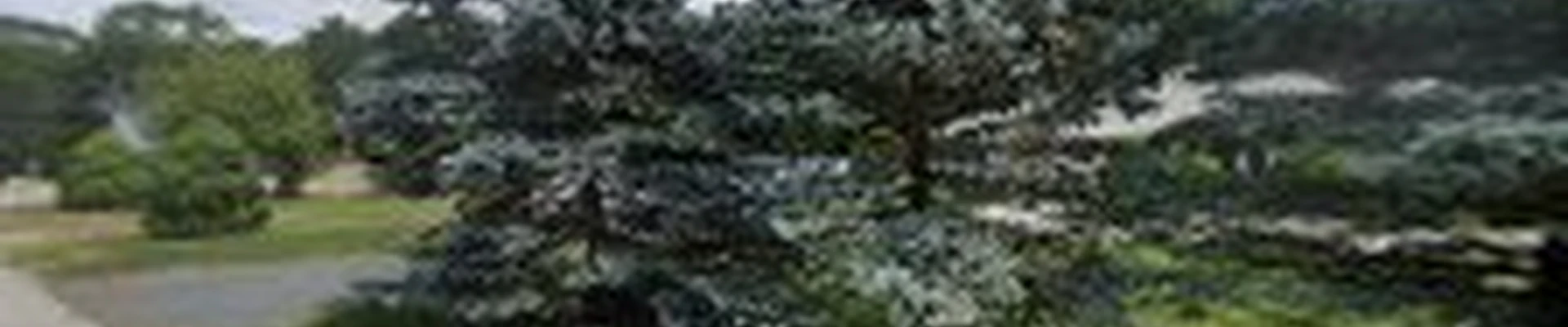 P & R Landscaping