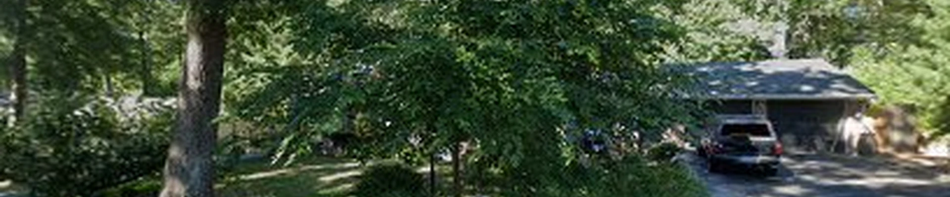 Ben’s Landscaping and property preservation
