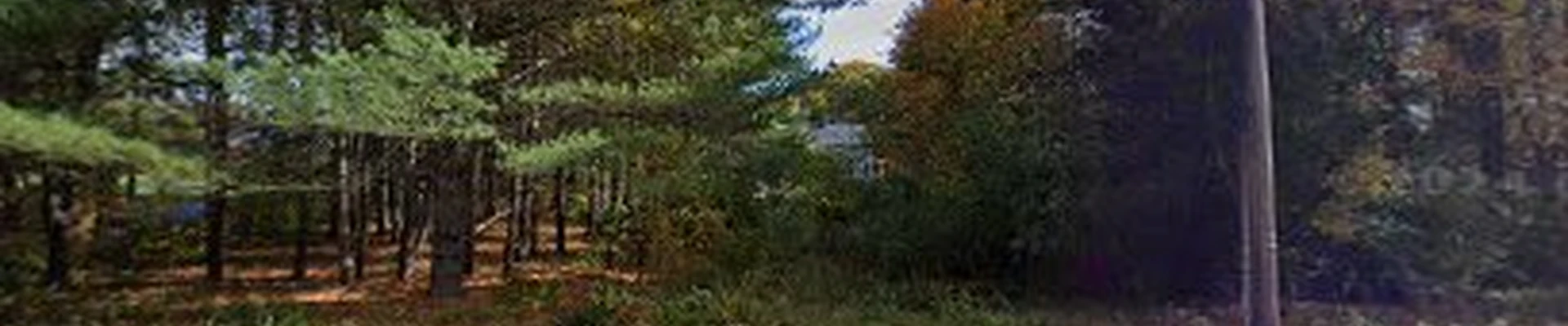 Melendez Landscaping Llc