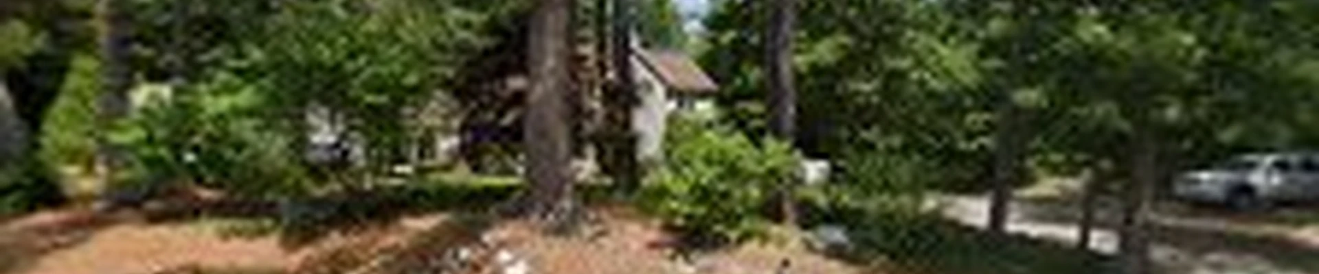 MJ Burke Landscaping & Irrigation