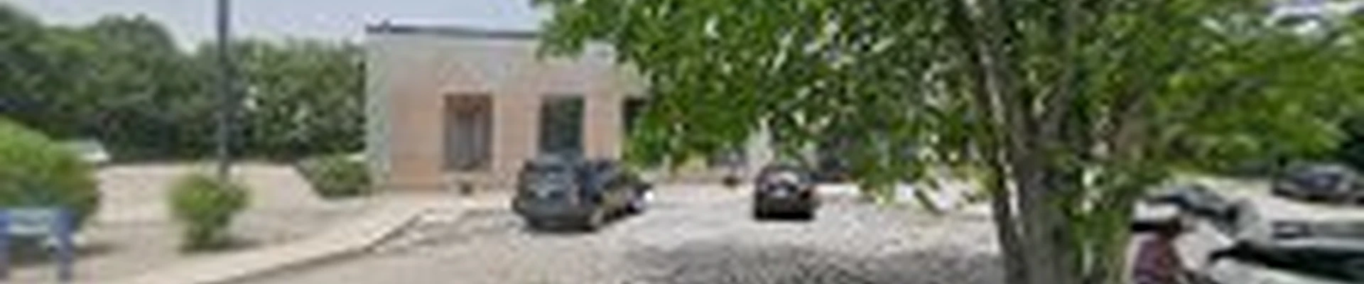 Presentato Landscaping LLC