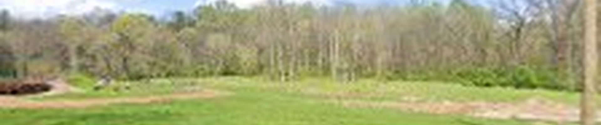 Knox Tenn Roots