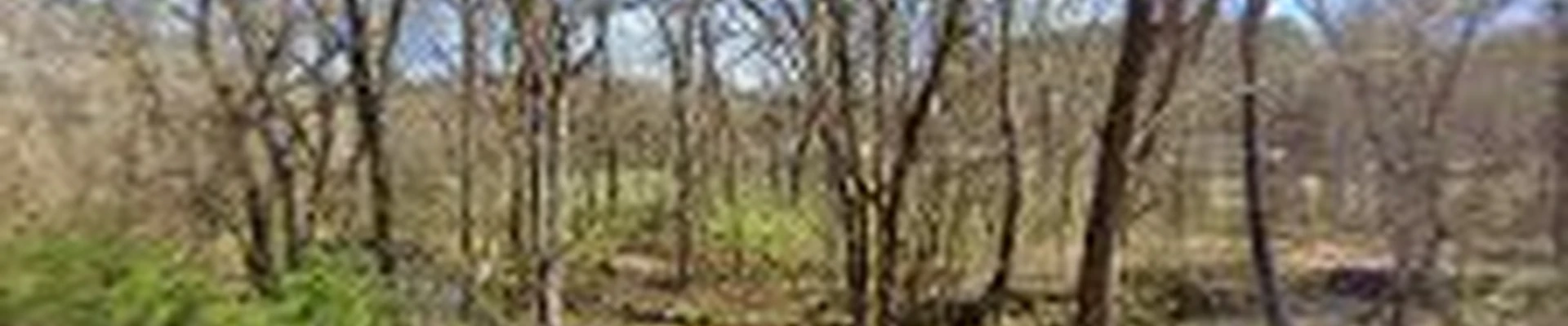 Tennessee Lawn & Landscape Co