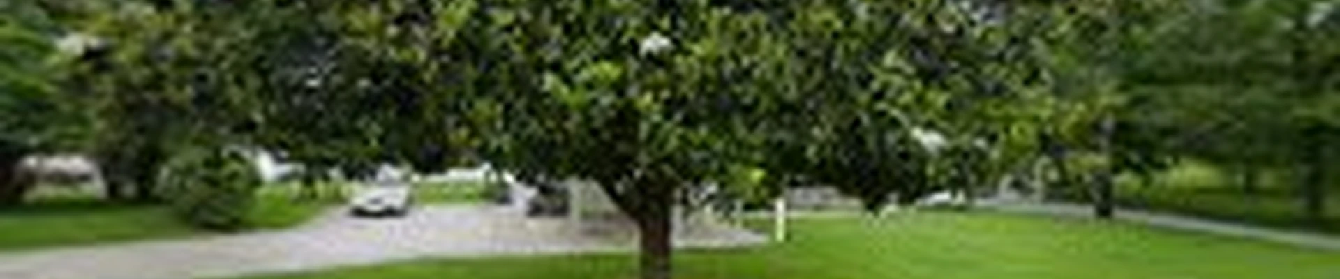 RockSolid Hardscaping and Landscaping