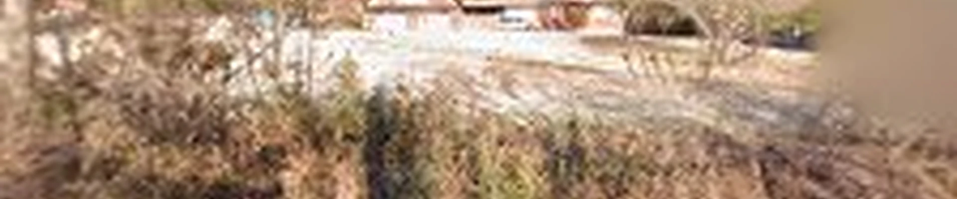 Diego Miguel landscaping