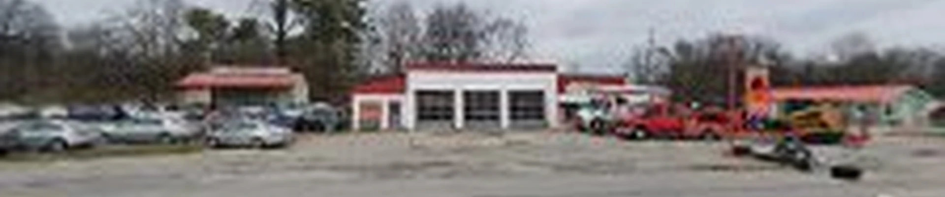 Paradise Tree Services