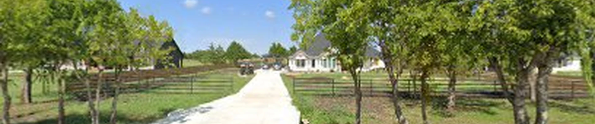Big Tex Tree & Landscaping