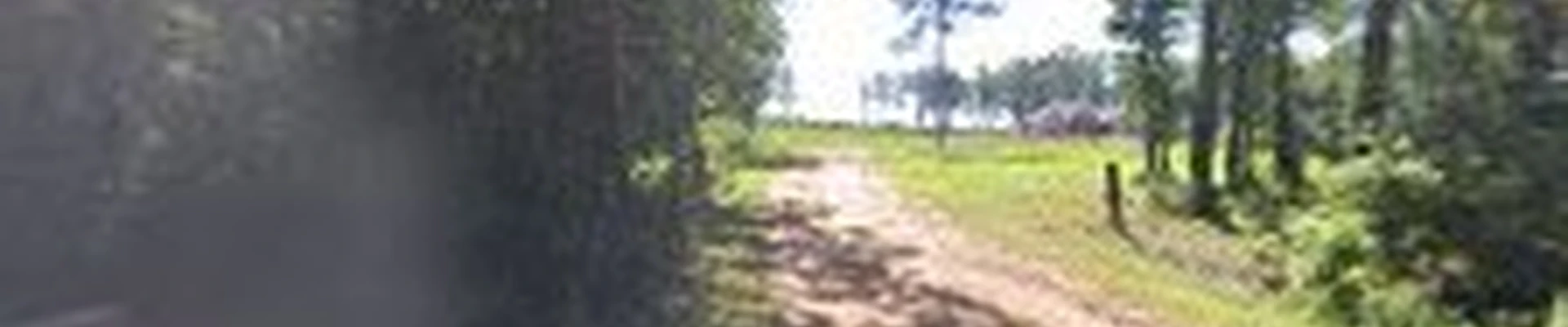 Martinez Lawn & Landscape, LLC
