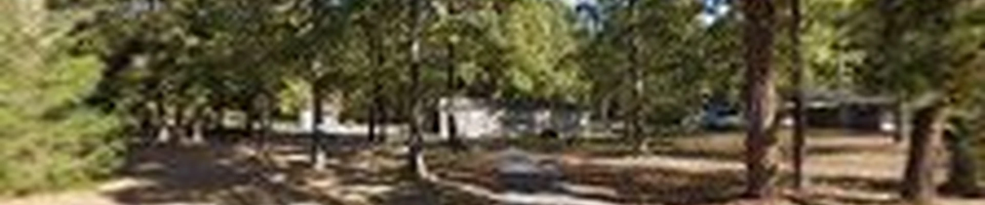 DeSoto Lawn Care Solutions