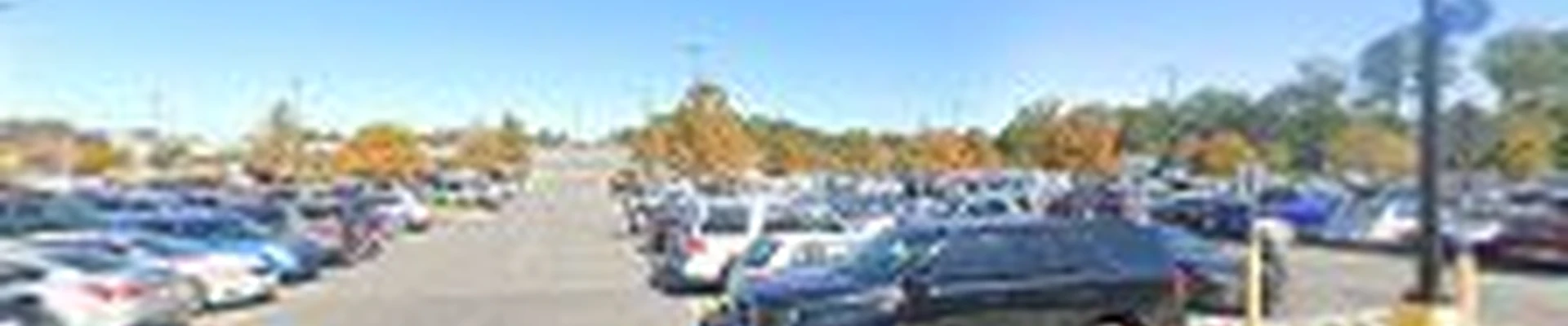 Walmart Garden Center