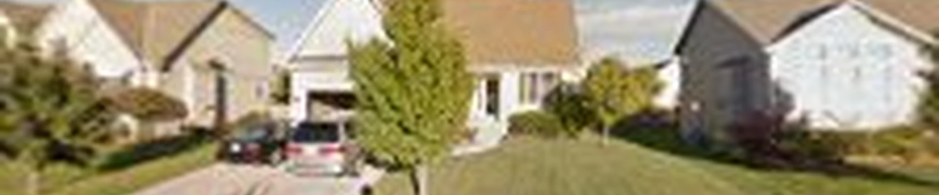 The Lawn Cypress