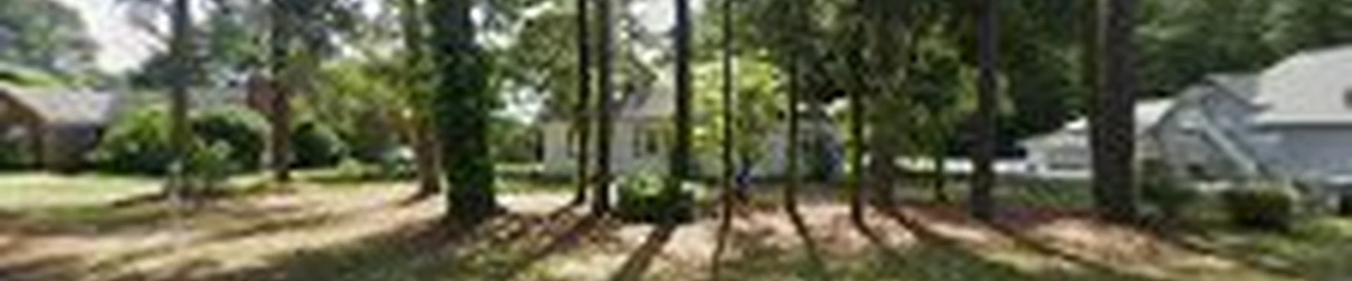 Green Cut Lawn Care & Services