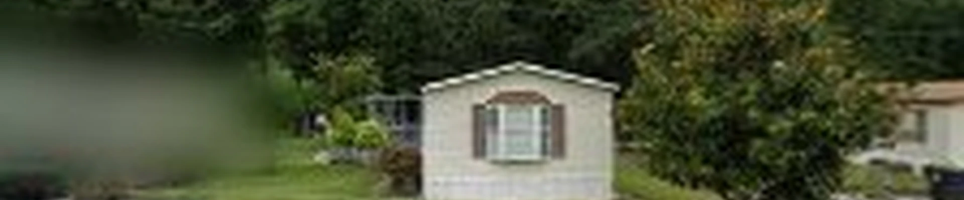 Ortiz Lawn and Tree Care