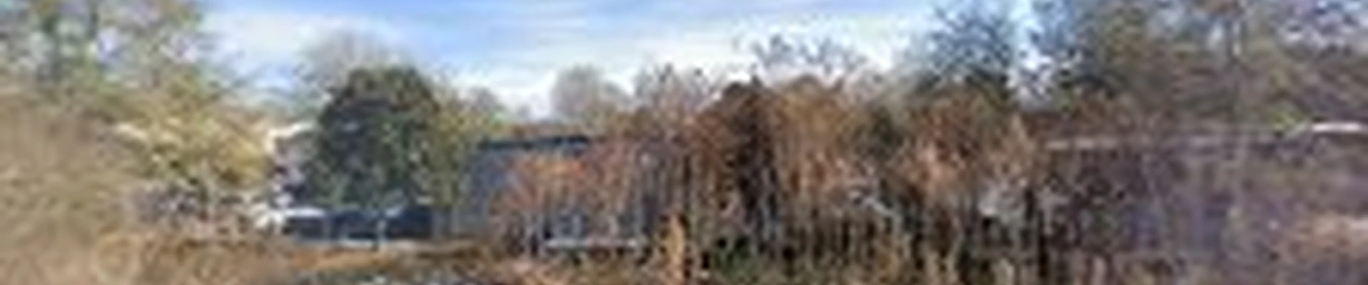 C.E. Alley Landscaping Unlimited