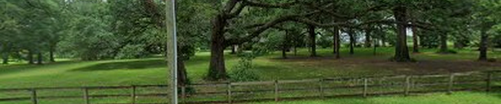Curtis Landscaping Inc