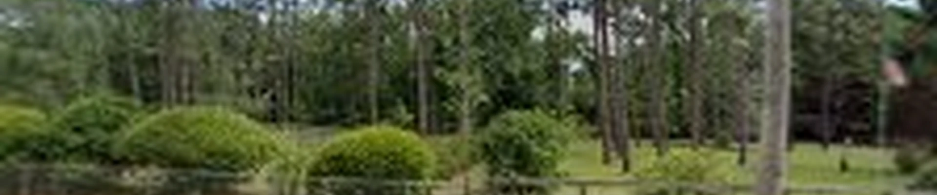 Fairhope Landscaping and Lawn Care