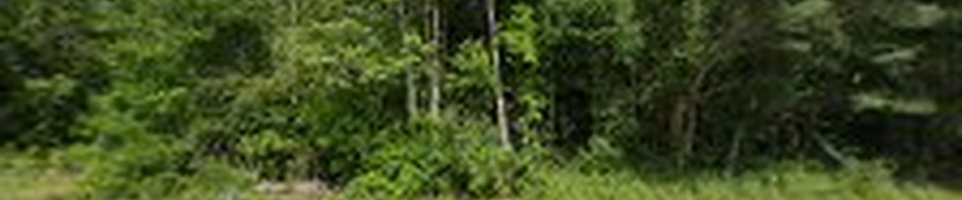 Emerald Coast Landscaping Inc