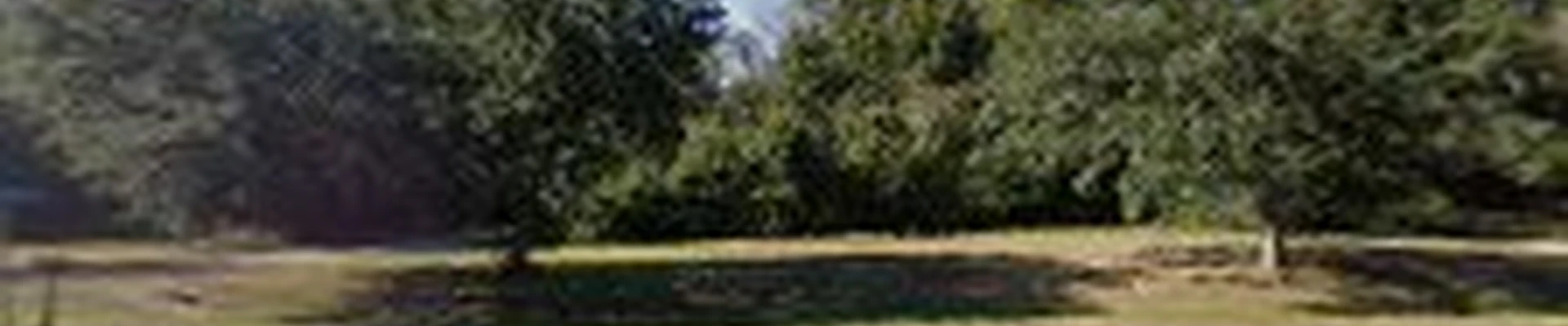 Lawn M.D. LLC