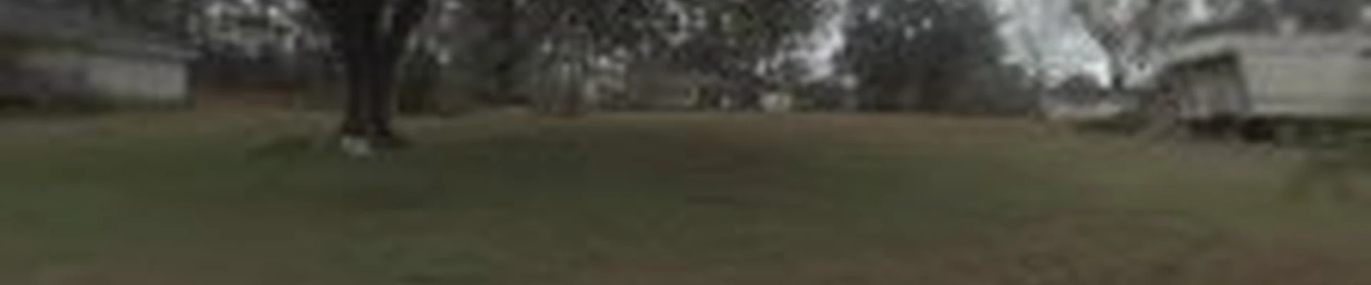 Loftin Properties Lawn and Landscape