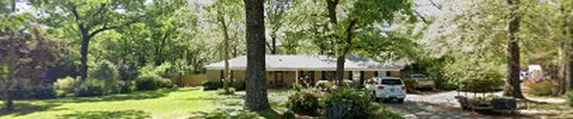 Always and Forever Green Landscaping