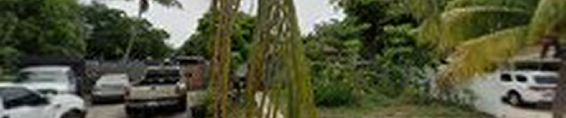 Garay Professional Landscaping Inc.