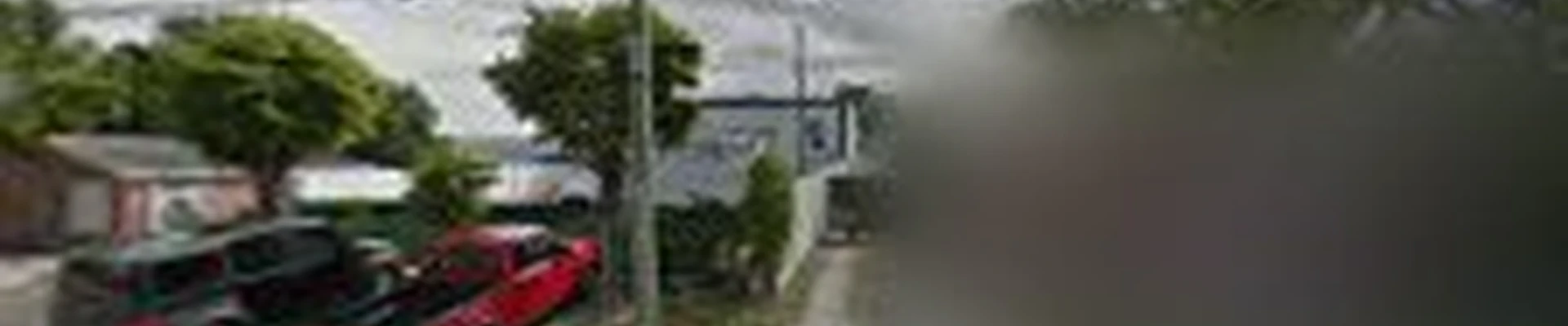 RainForest Management Commercial Landscaping Inc.
