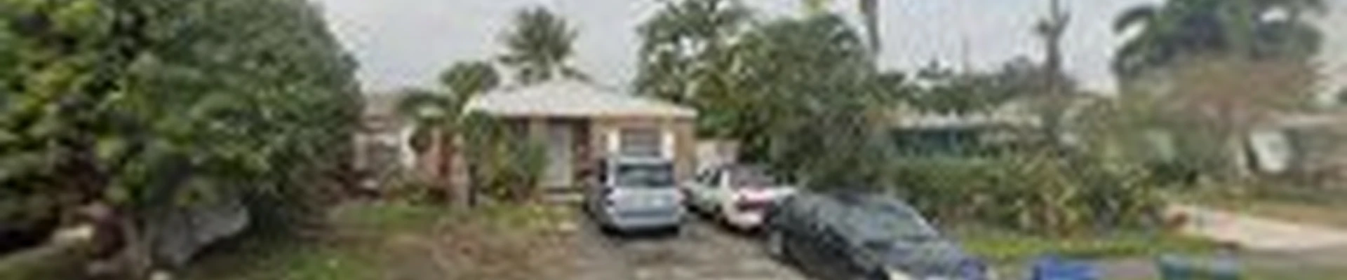 Rocky Tree Landscaping, Inc.