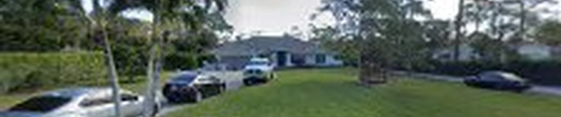 Aviator Landscaping & Tree Service