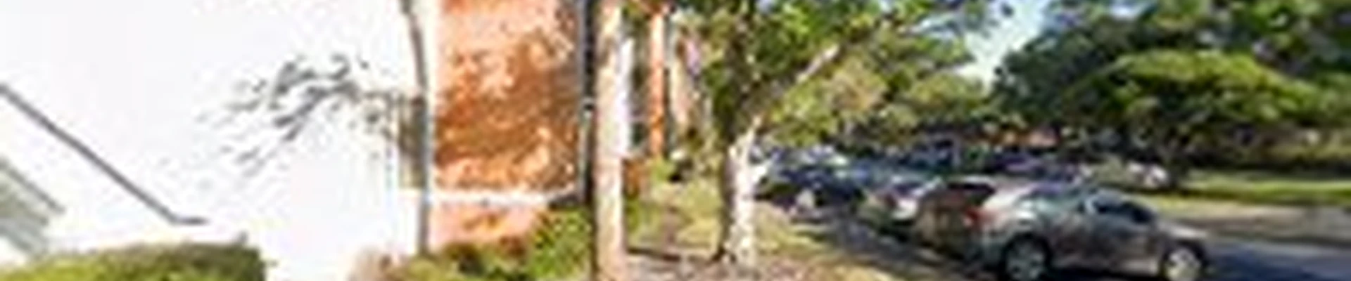 Palm Shores Pressure Cleaning