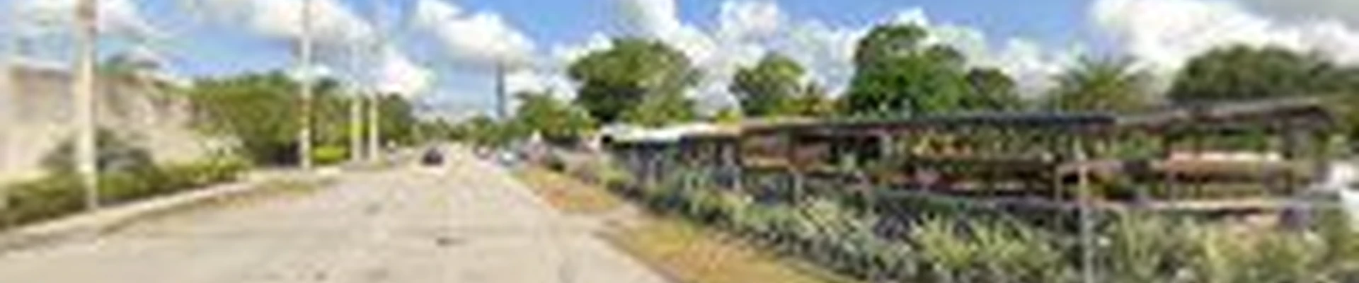 Laguna Bay Nursery Inc