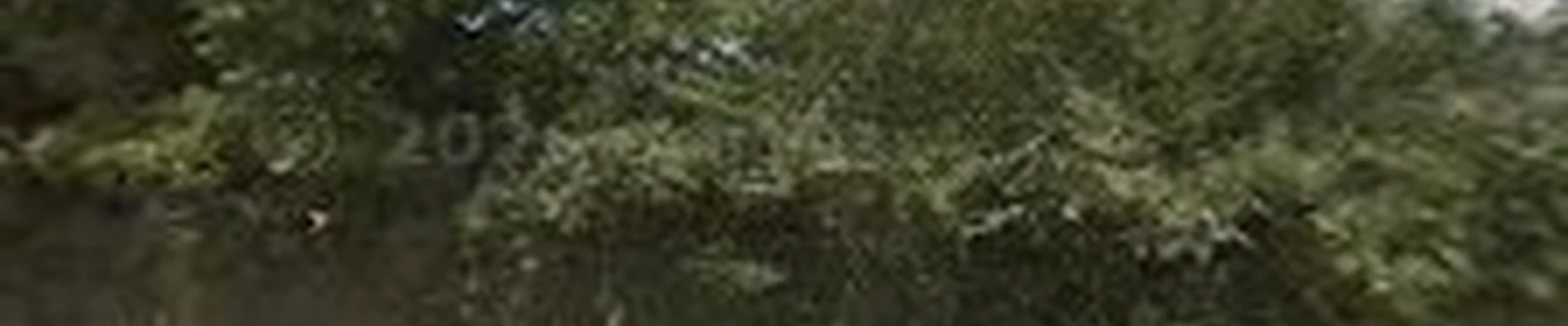 Earthscapes, Inc.