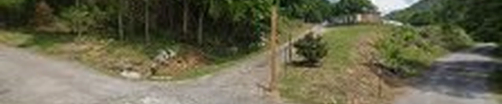 Wilson's Landscaping LLC