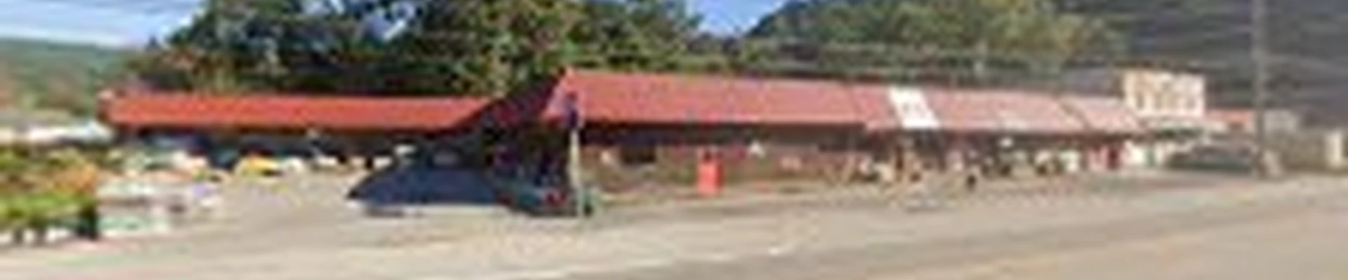 Sun & Shade Garden Center