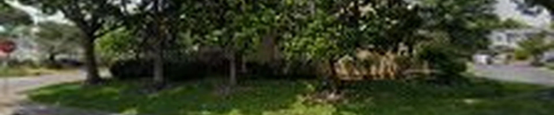 Oswaldo Landscaping