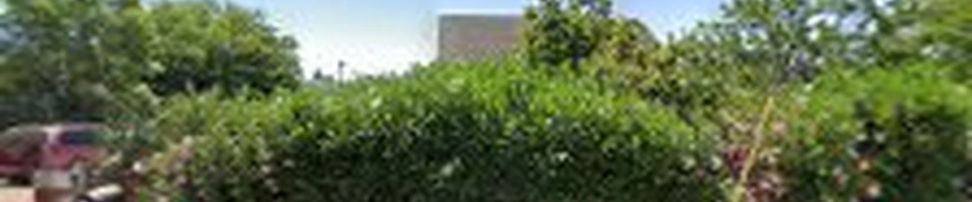 Land Co Environments, Inc