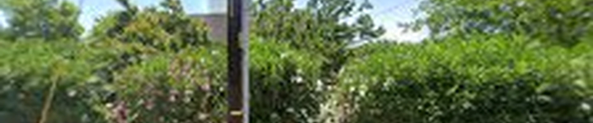 Green Images and Design