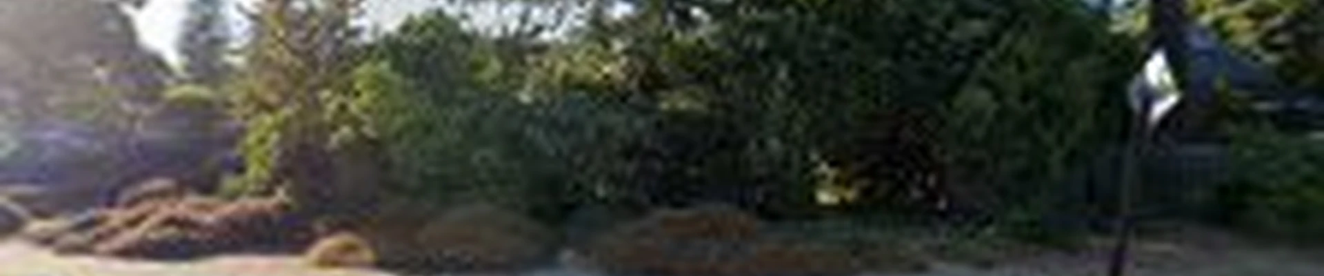Hagy Landscaping Inc