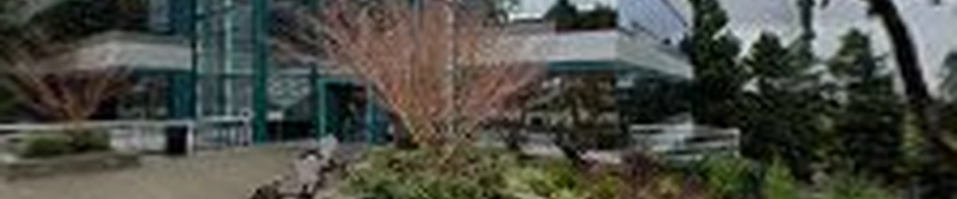 Chop Chop Landscaping