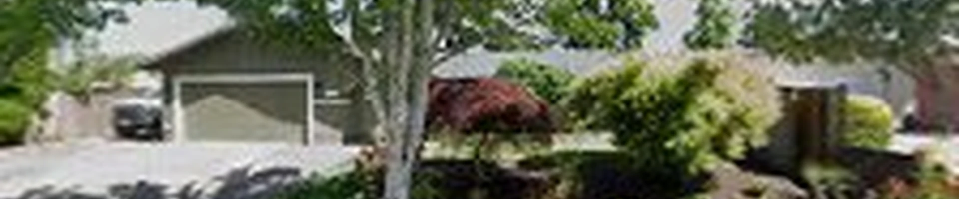 AG Landscape LLC & Spray Service