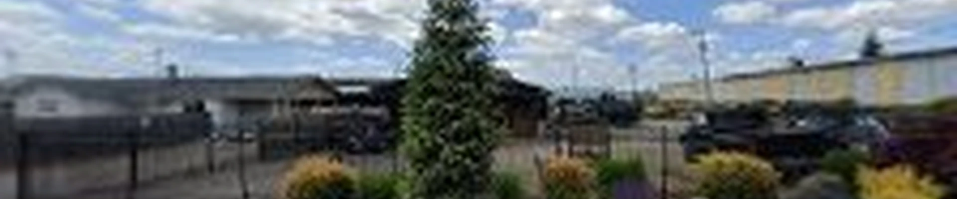 Cutting Edge Landscape & Design