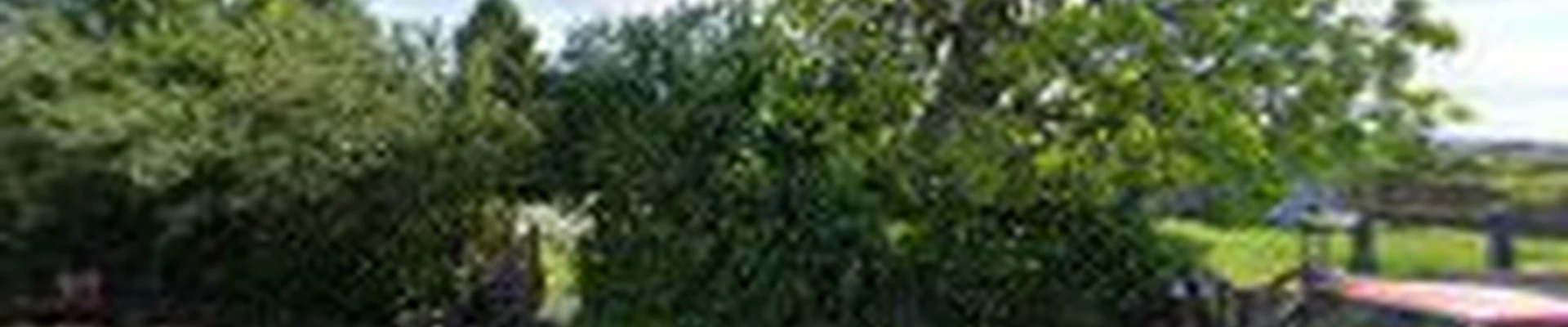 Safe Haven Landscaping LLC