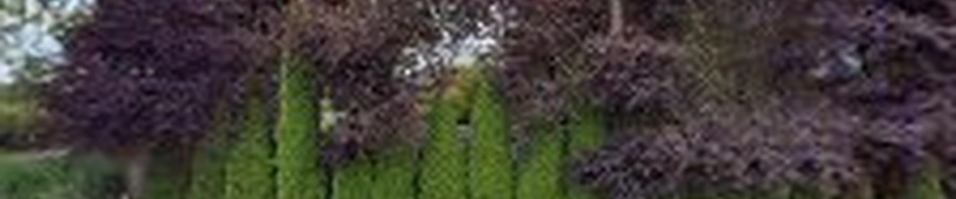 Eugene Landscape & Irrigation