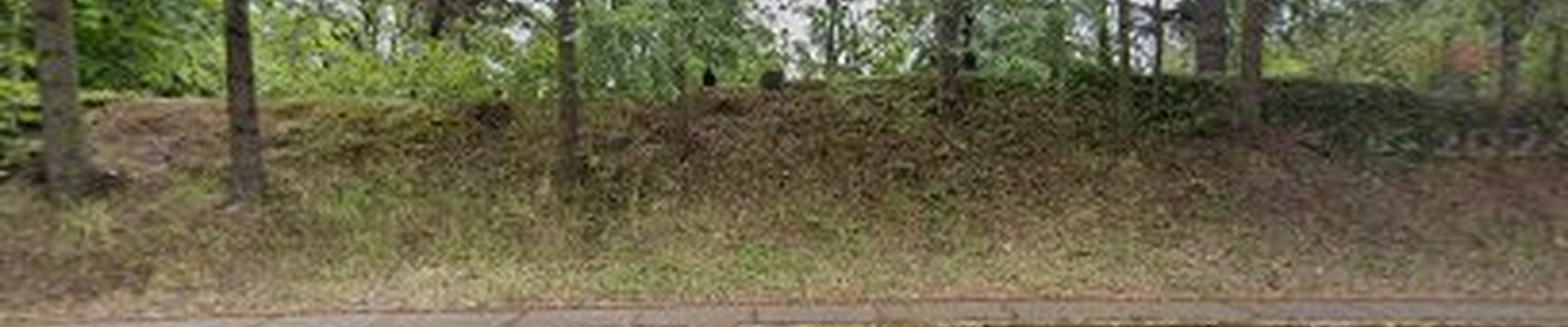 Olympic Landscape Company