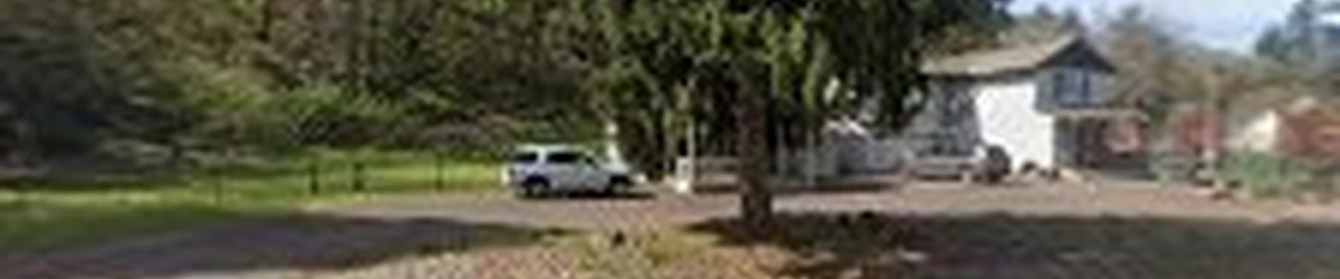 All-Phase Landscaping and Design