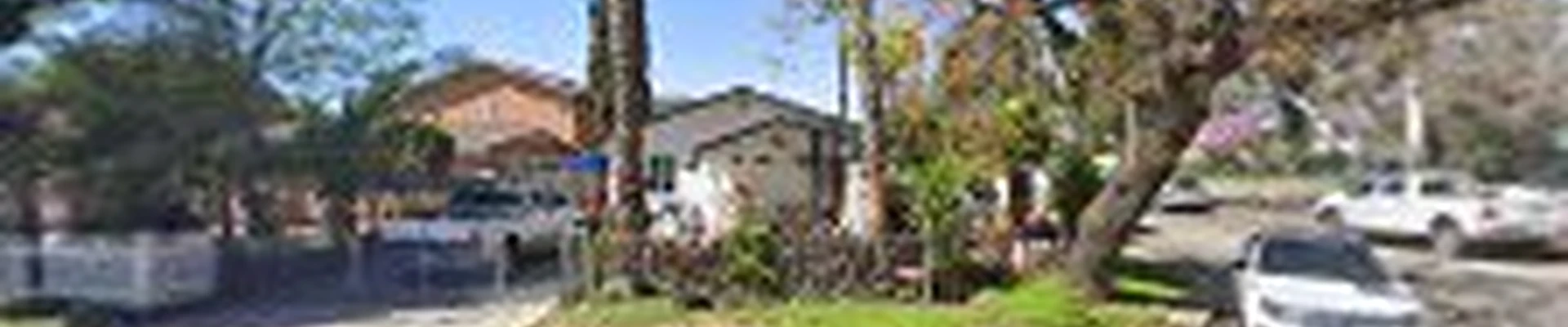 Domingo Landscaping & Tree Service