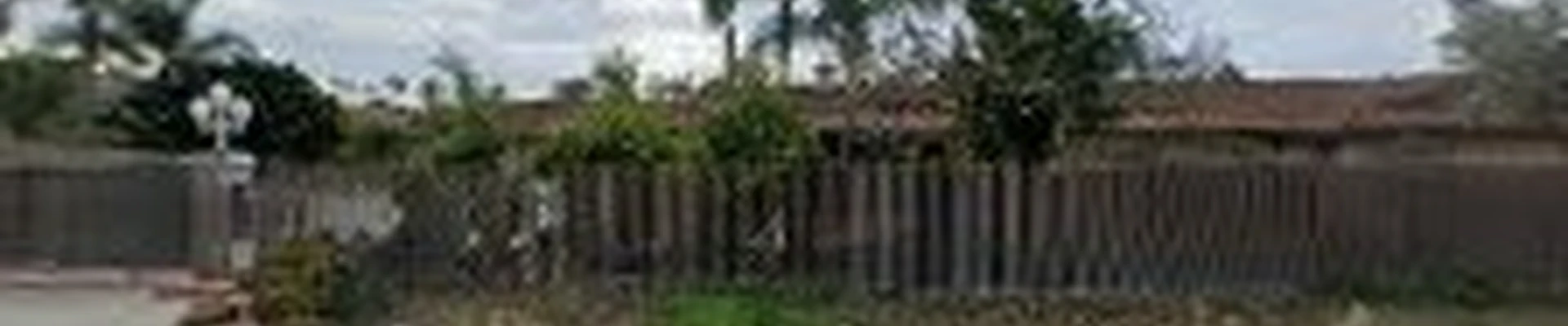 NG Landscaping and Tree service
