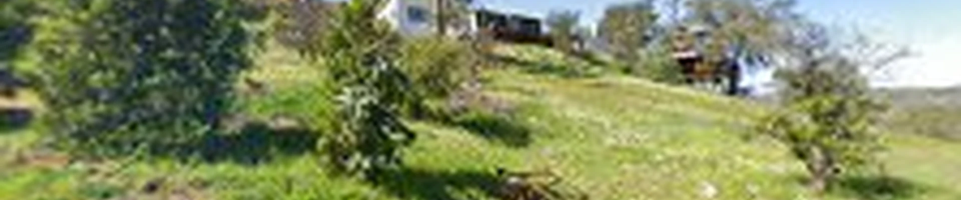 Sierra revolution landscaping General landscaping and maintenance